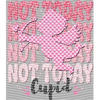 Valentine's Day-QRJ  4791